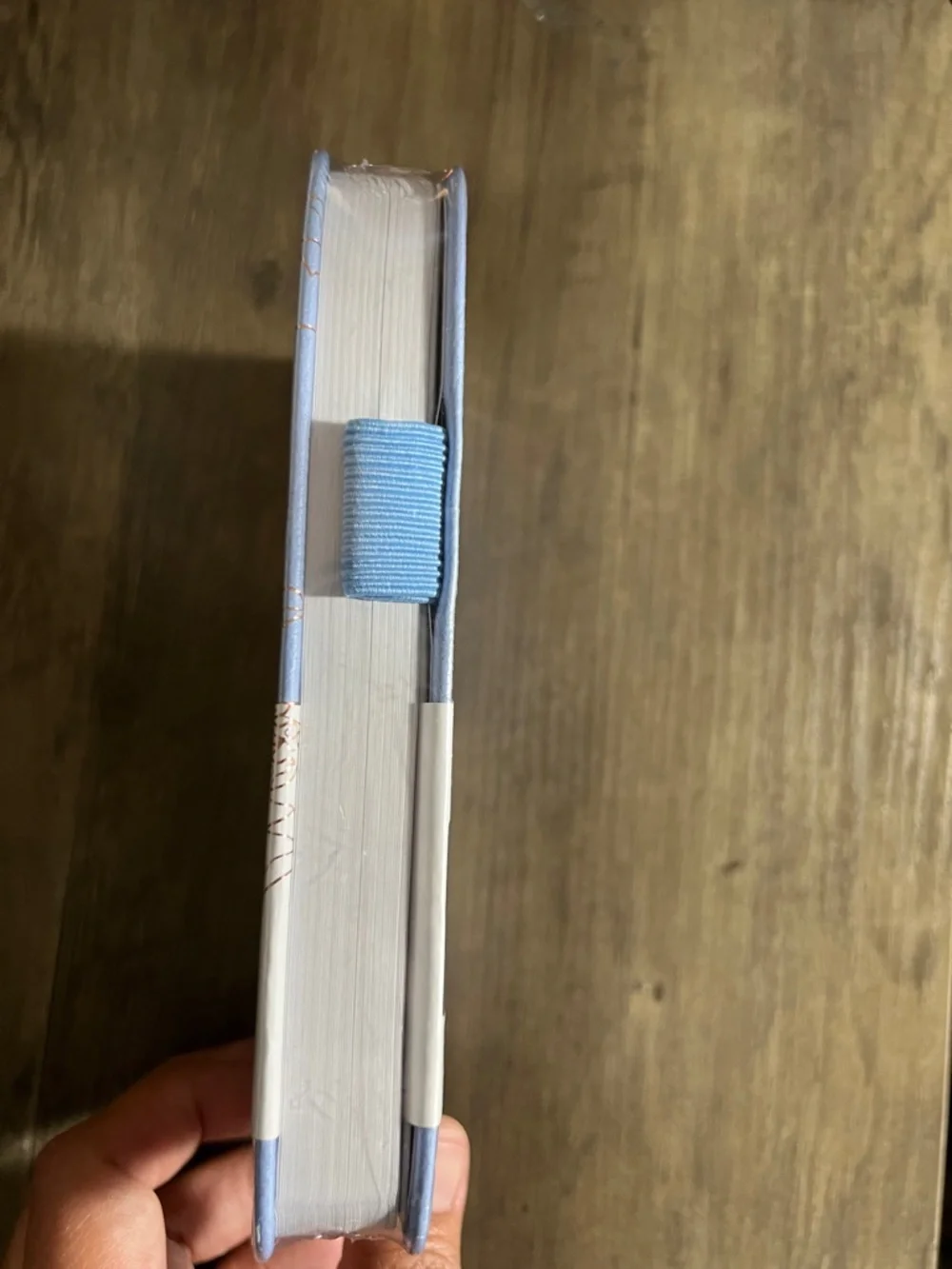 Legend Planner Wellness Planner Pocket - Light Blue- New